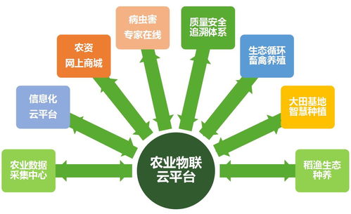 智慧農業物聯網發展 智慧農業的解決方案
